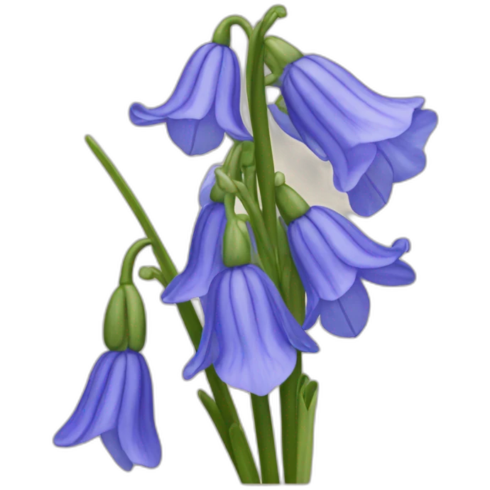 Bluebell flower emoji