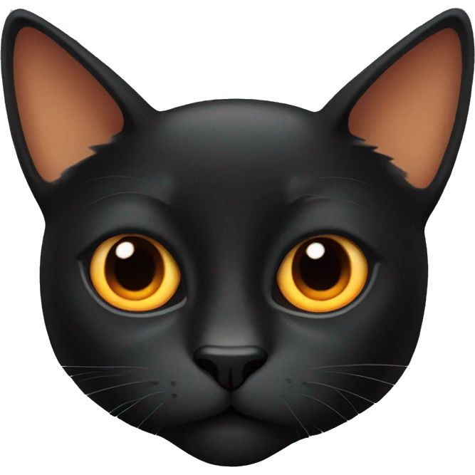Black cat with big orange eyes  emoji