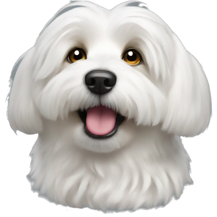 Coton de tulear dog happy emoji