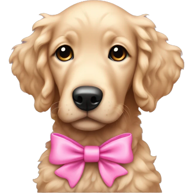 female curly black retriever puppy with pink bows above her ears emoji