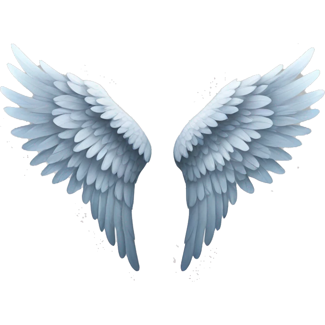 one pair of angel wings emoji
