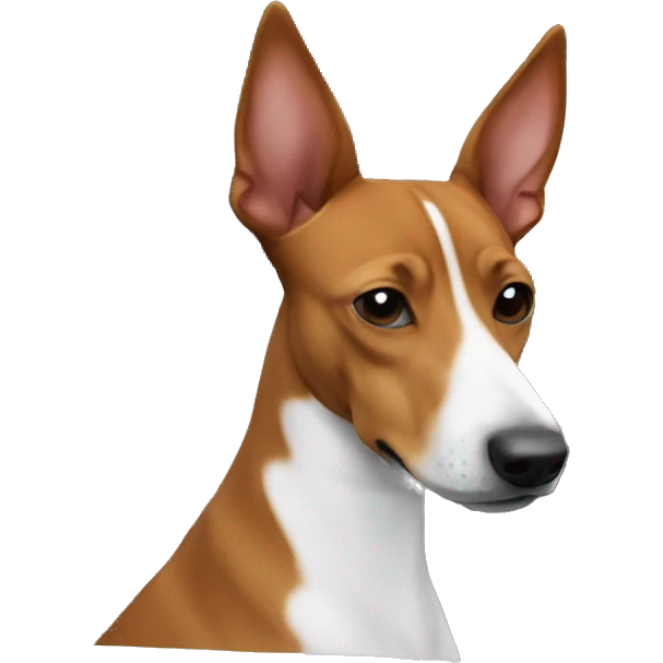 basenji in car emoji