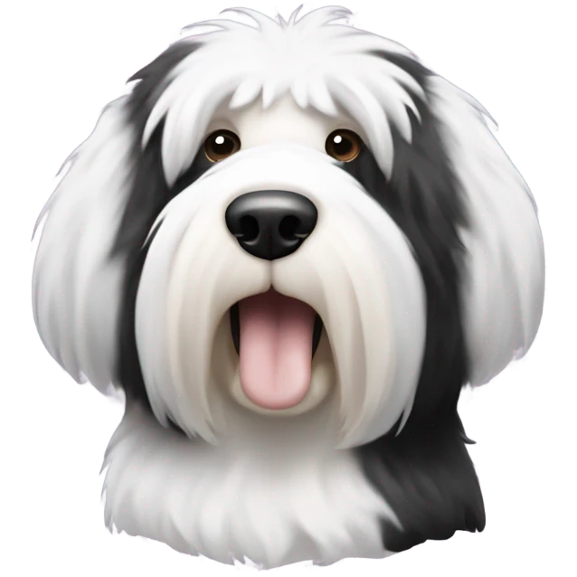 Old English sheepdog with a half and half face like a black and white cookie emoji