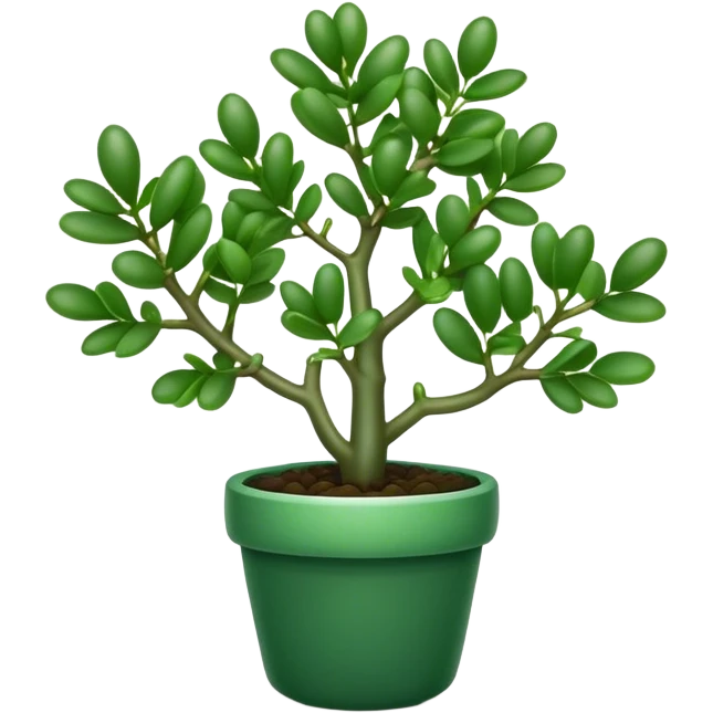 Cinematic Realistic Jade Plant Emoji, Thick and glossy, with dark green, round leaves that shine under the light. The sturdy stems and vibrant foliage give a sense of prosperity and tranquility. Soft glowing outline, capturing the essence of good luck, growth, and natural elegance in a flourishing jade plant! emoji