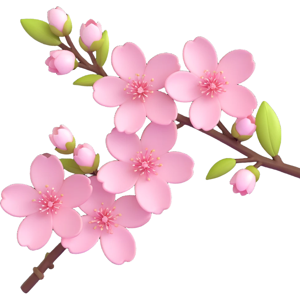 elegant cherry blossom flowers on a branch, glossy, soft pink and white petals, modern and fresh emoji