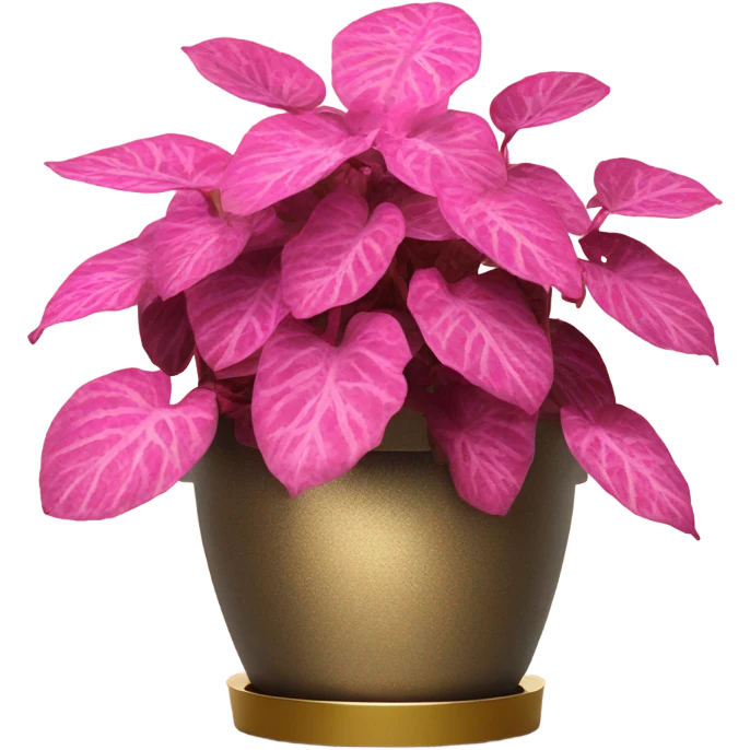 Hippo Hypoestes pink in round gold planter emoji