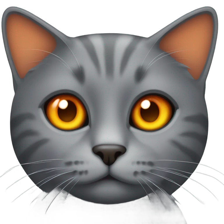 gray cat with orange eyes emoji