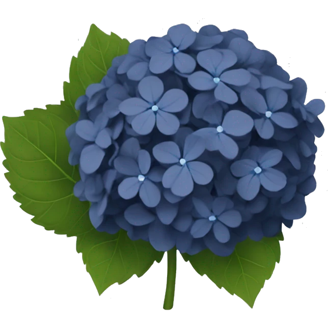 Dark Navy blue Hydrangea emoji