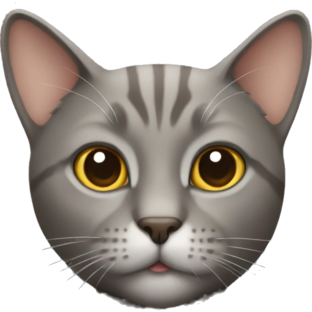 Gray brown cat  emoji