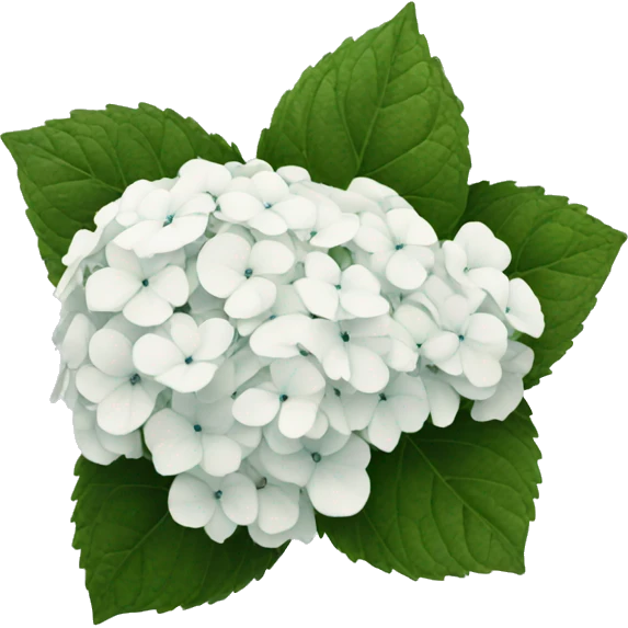 White hydrangea emoji