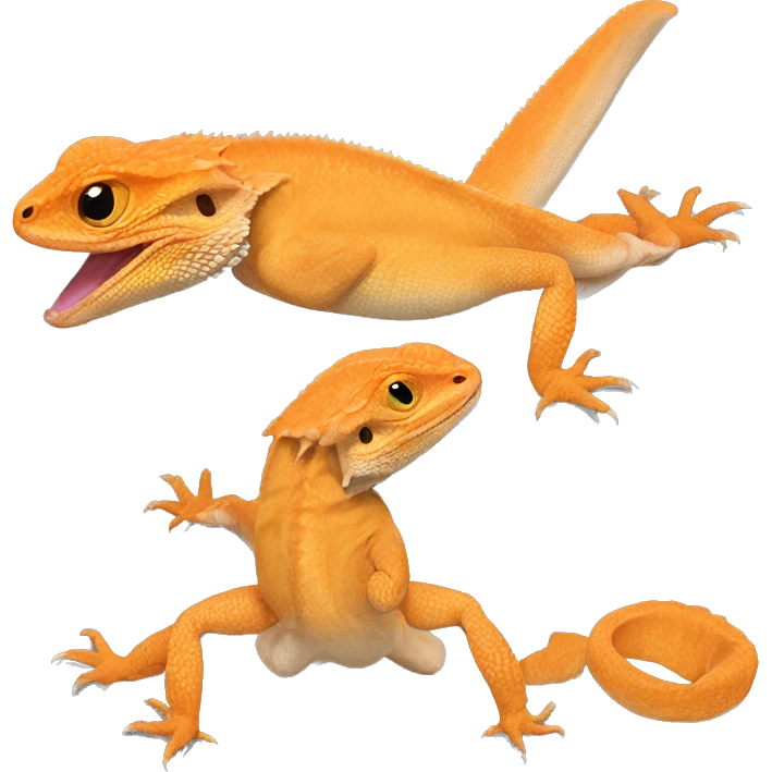 Orange bearded dragon  emoji
