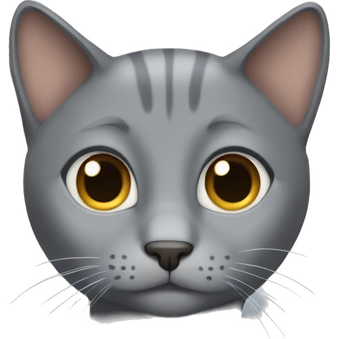 Grey cat with no ears and brown eyes  emoji