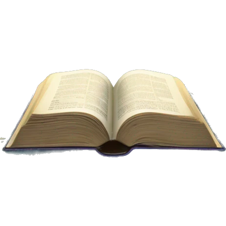 Holy Bible with a magical garden with fairies, doves, whimsical garden coming out from it  emoji