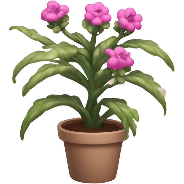 Pink plant that’s smiling emoji