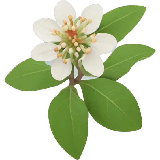 ashwagandha flowers emoji