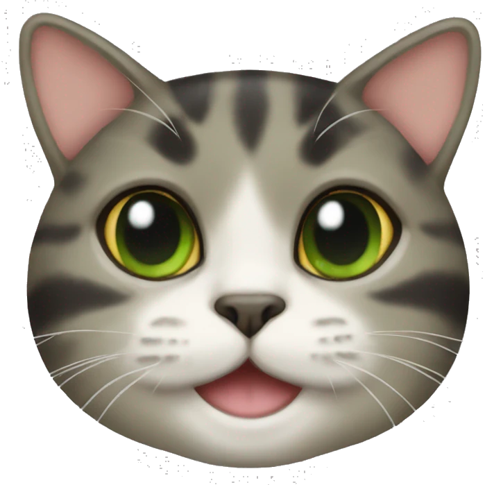 turtle cat face emoji