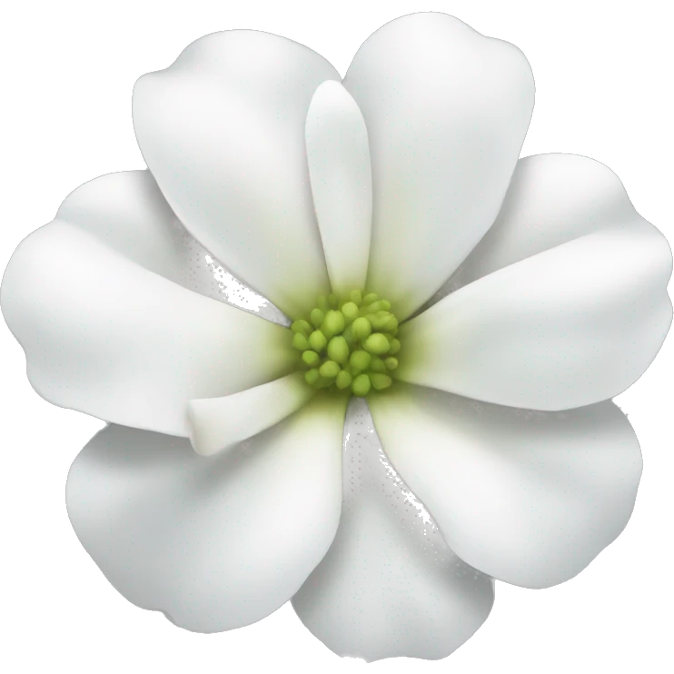 White flower  emoji