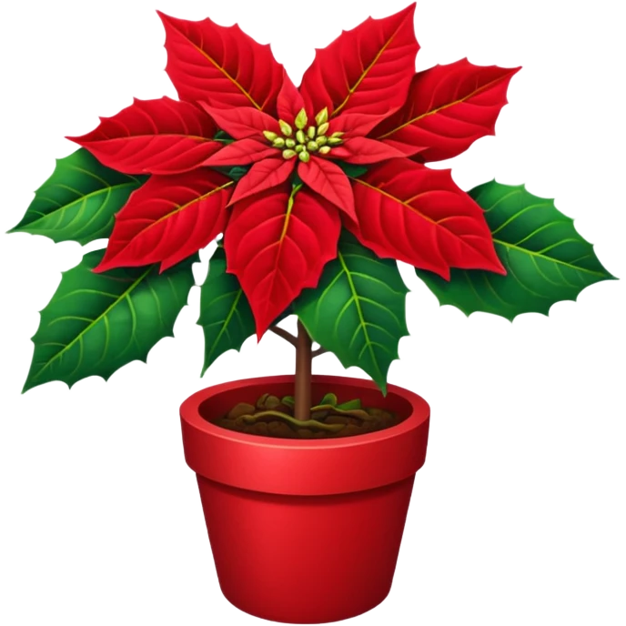 Poinsettia emoji emoji