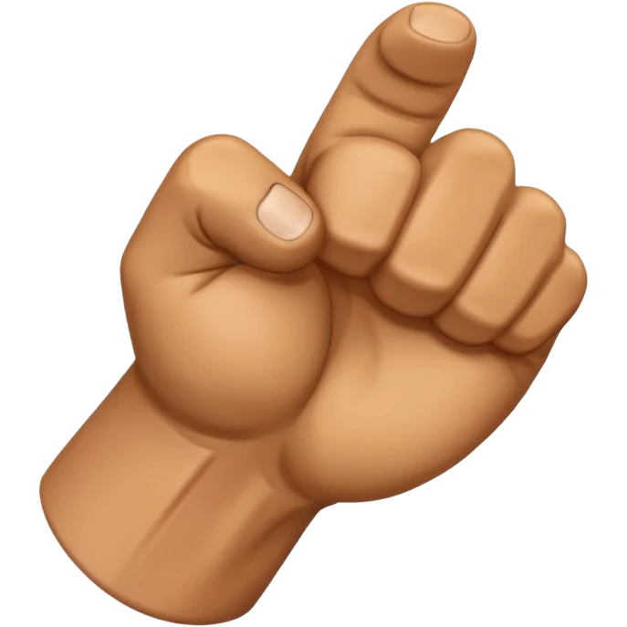 주먹 emoji