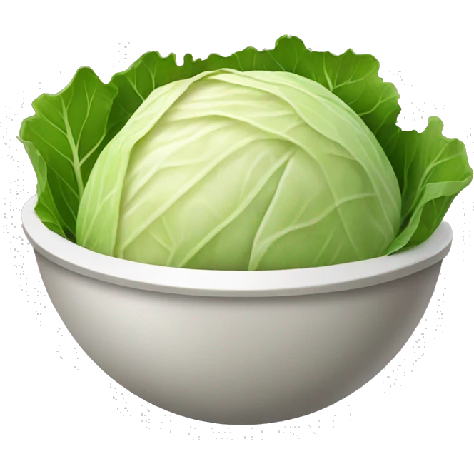 fermented cabbage in a bowl emoji