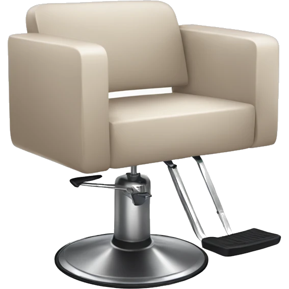 Cute modern neutral colored Salon chair  emoji
