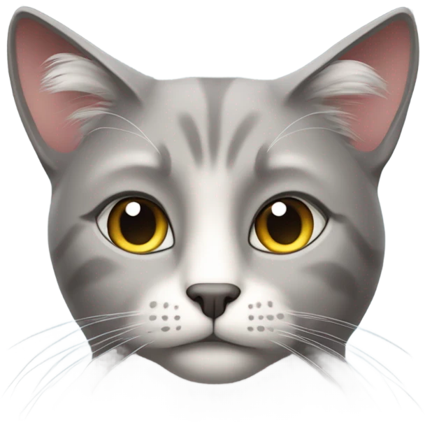 A wise old cat emoji