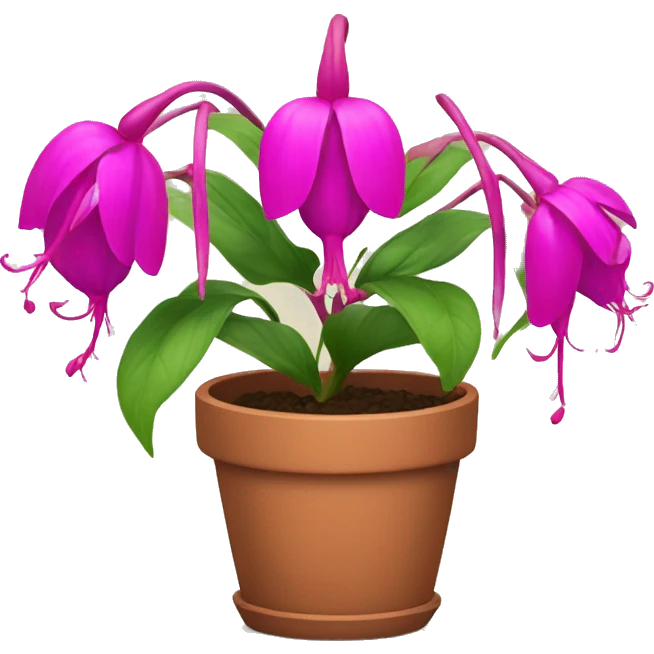 fuchsia Flowers in a pot emoji
