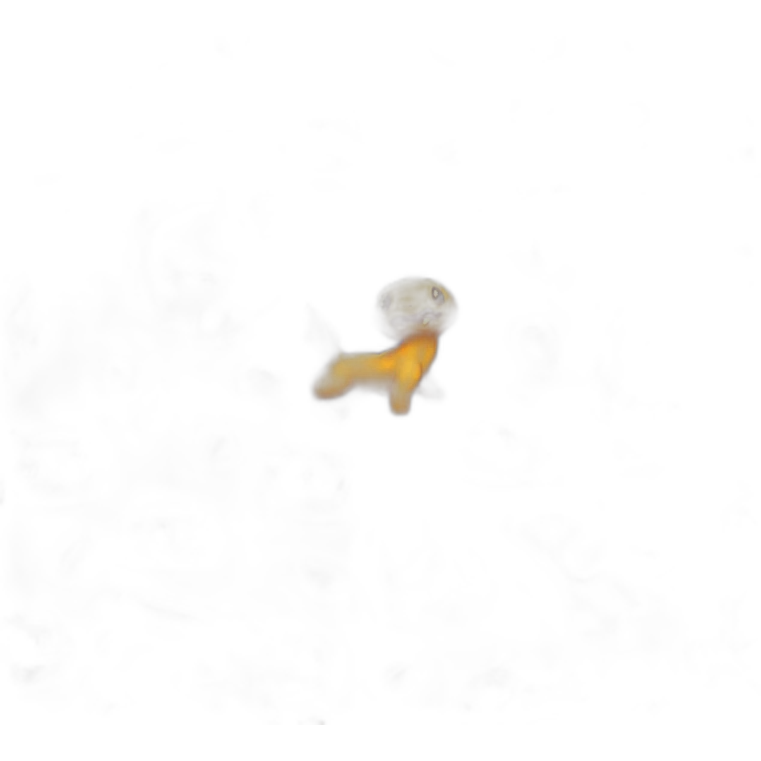 pokemon carmander emoji