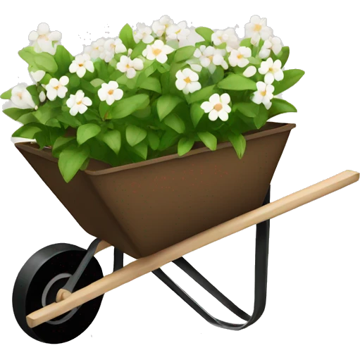 Brown wheelbarrow with white flowers inside no green  emoji