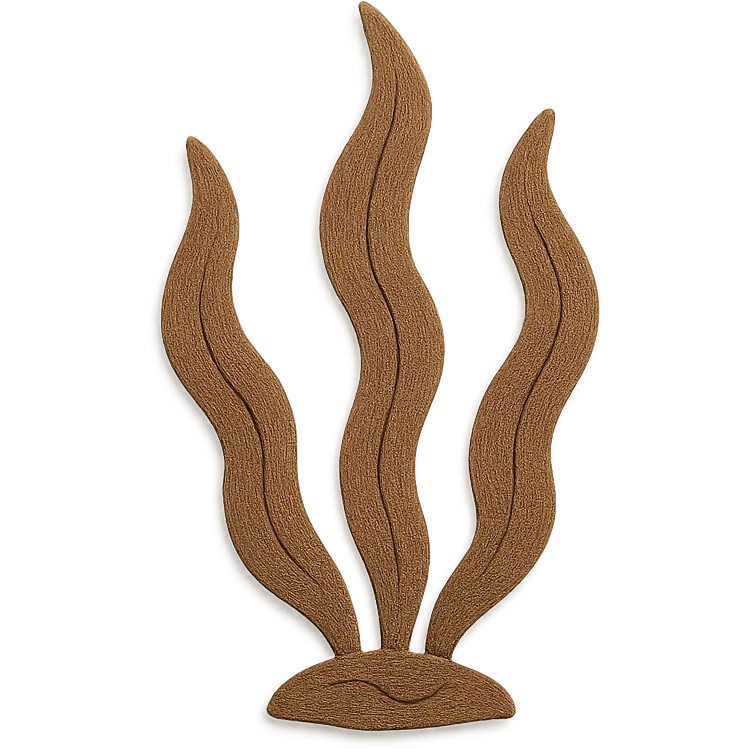 paper craft style brown seaweed emoji