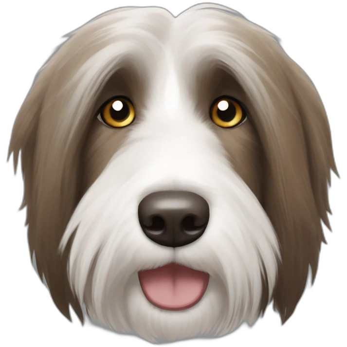 Bearded collie brown spot emoji