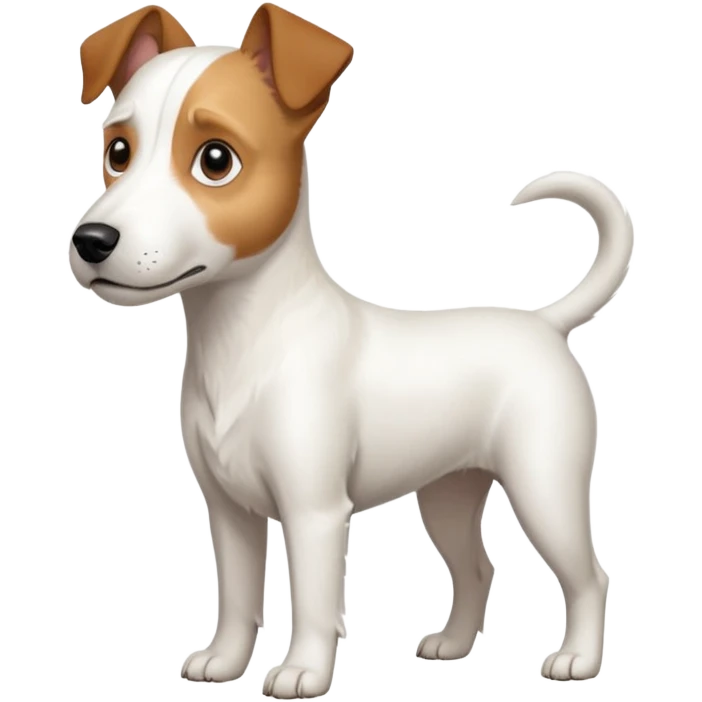 a full body large white parson russell terrier looking dog the size of a kelpie with light brown long ears and a light brown patch on one eye and a large snout emoji