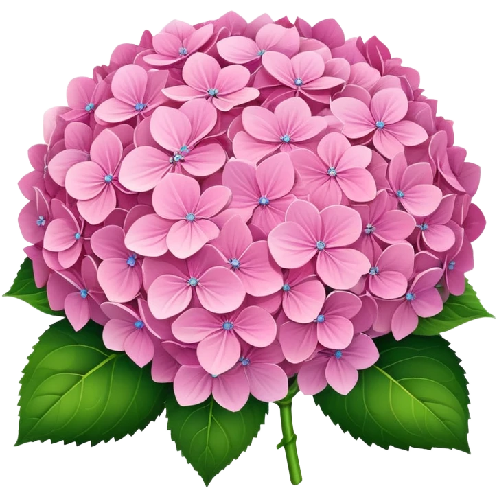 Pink hydrangeas bouquet  emoji