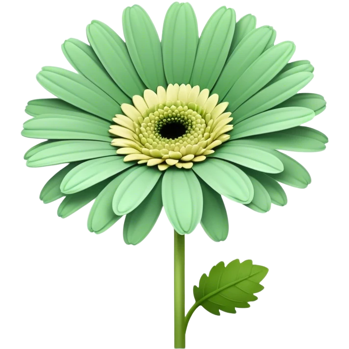 single Soft Green Gerbera Daisy, straight stem emoji