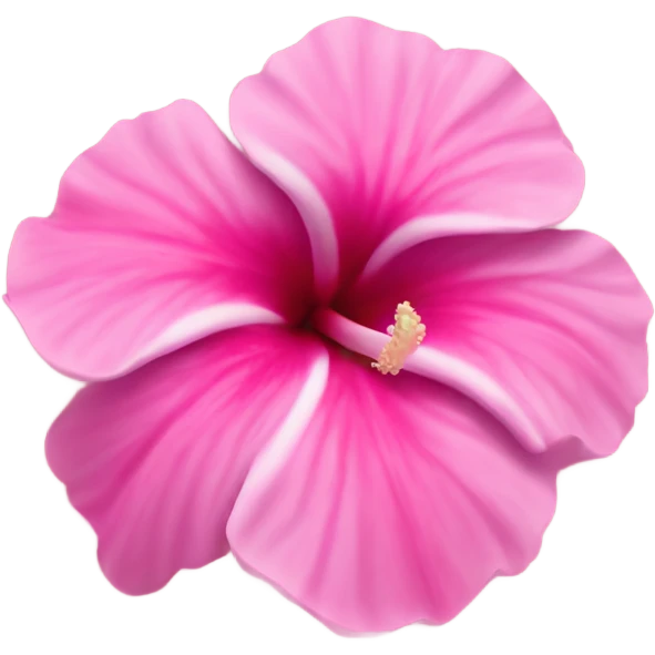 Hibiscos pink emoji