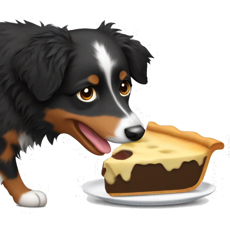Small black australian shepherd dog eating pie  emoji