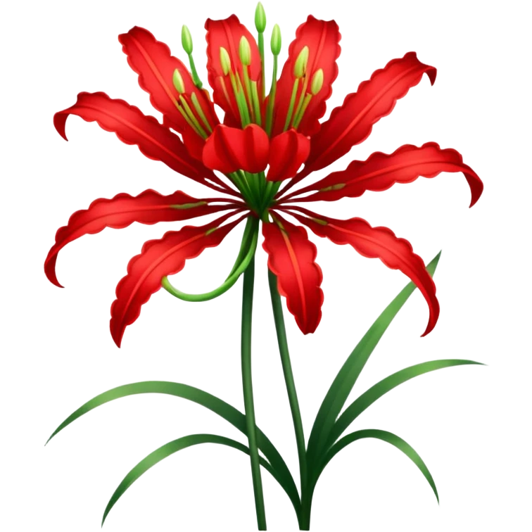 Lycoris Radiata red spider lily flower with a single stem emoji