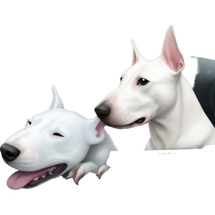 White Bull terrier and blue C6 Corvette  emoji