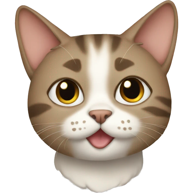 Cat with pita emoji