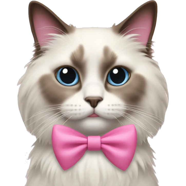 Ragdoll cat with pink bow  emoji