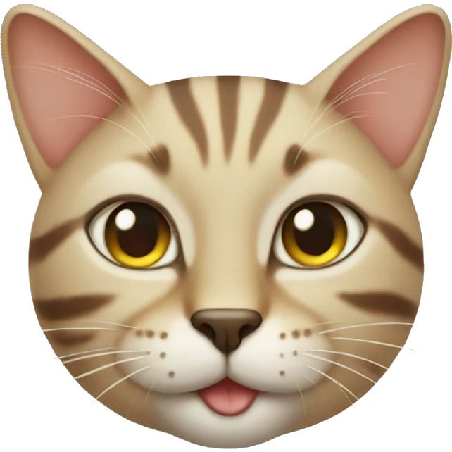Summer cat emoji