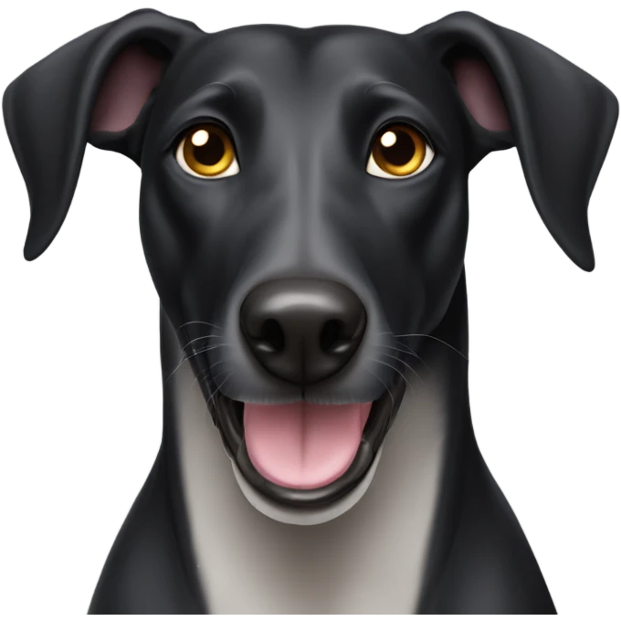 Black Greyhound labrador dog mix with big ears and a long nose emoji