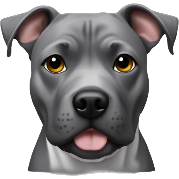 grey staffy terrier bruh emoji