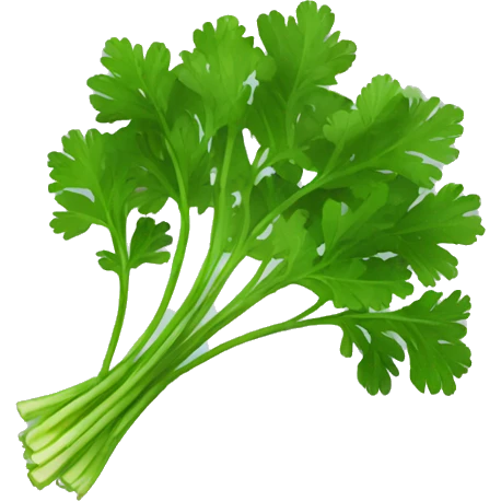 parsley emoji