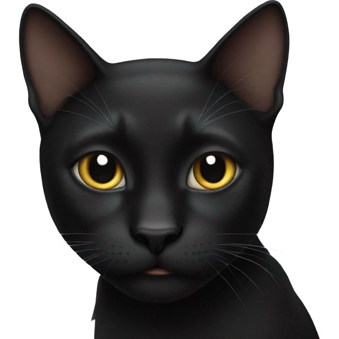 Black cat  emoji