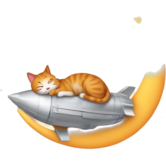 Cat sleeping on moon rocket autmn  emoji