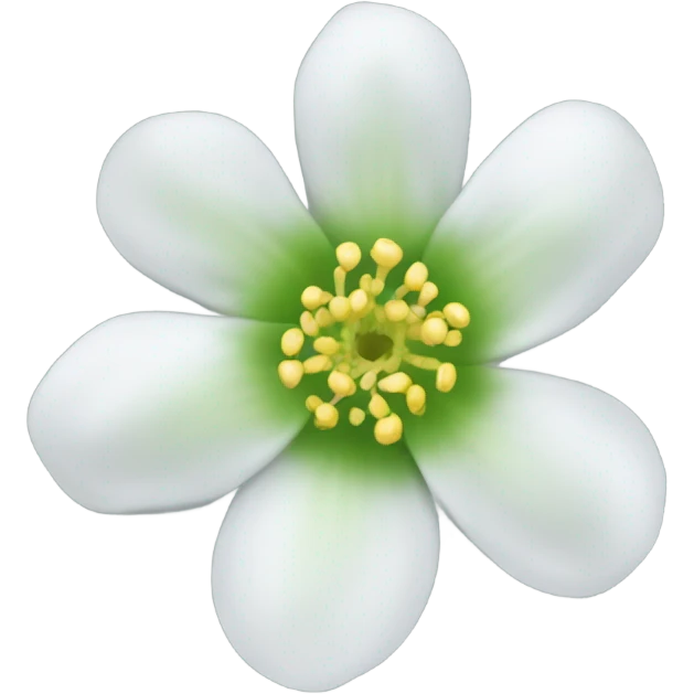 transparent diphylleia flower emoji