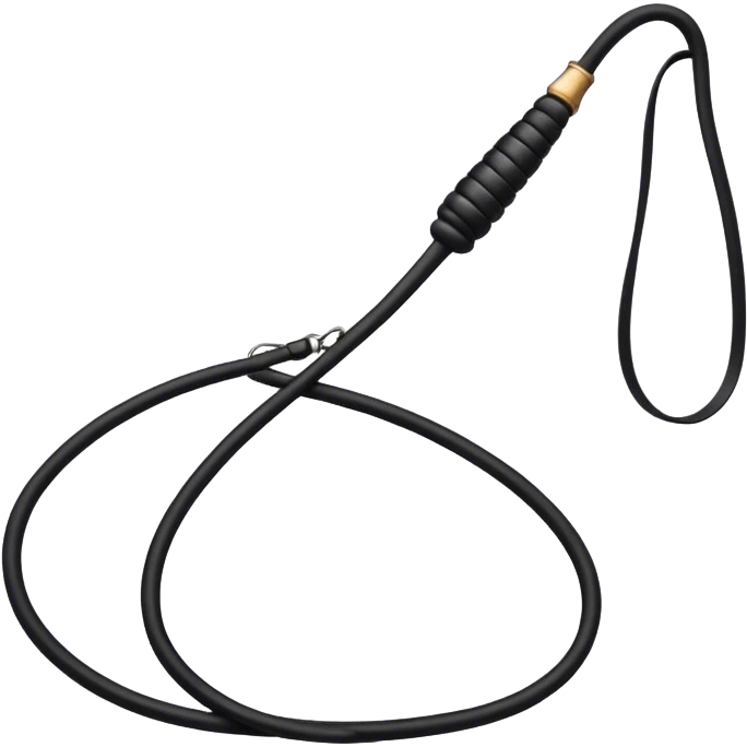 Black leather riding whip  emoji