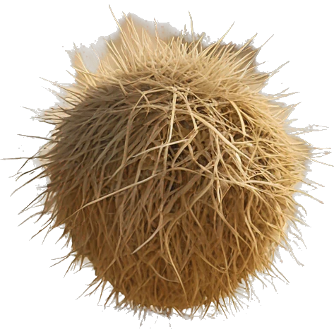 Tumbleweed in the desert emoji