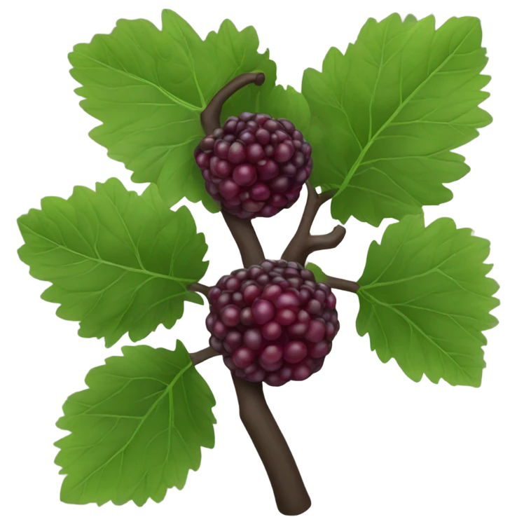 black mulberry emoji